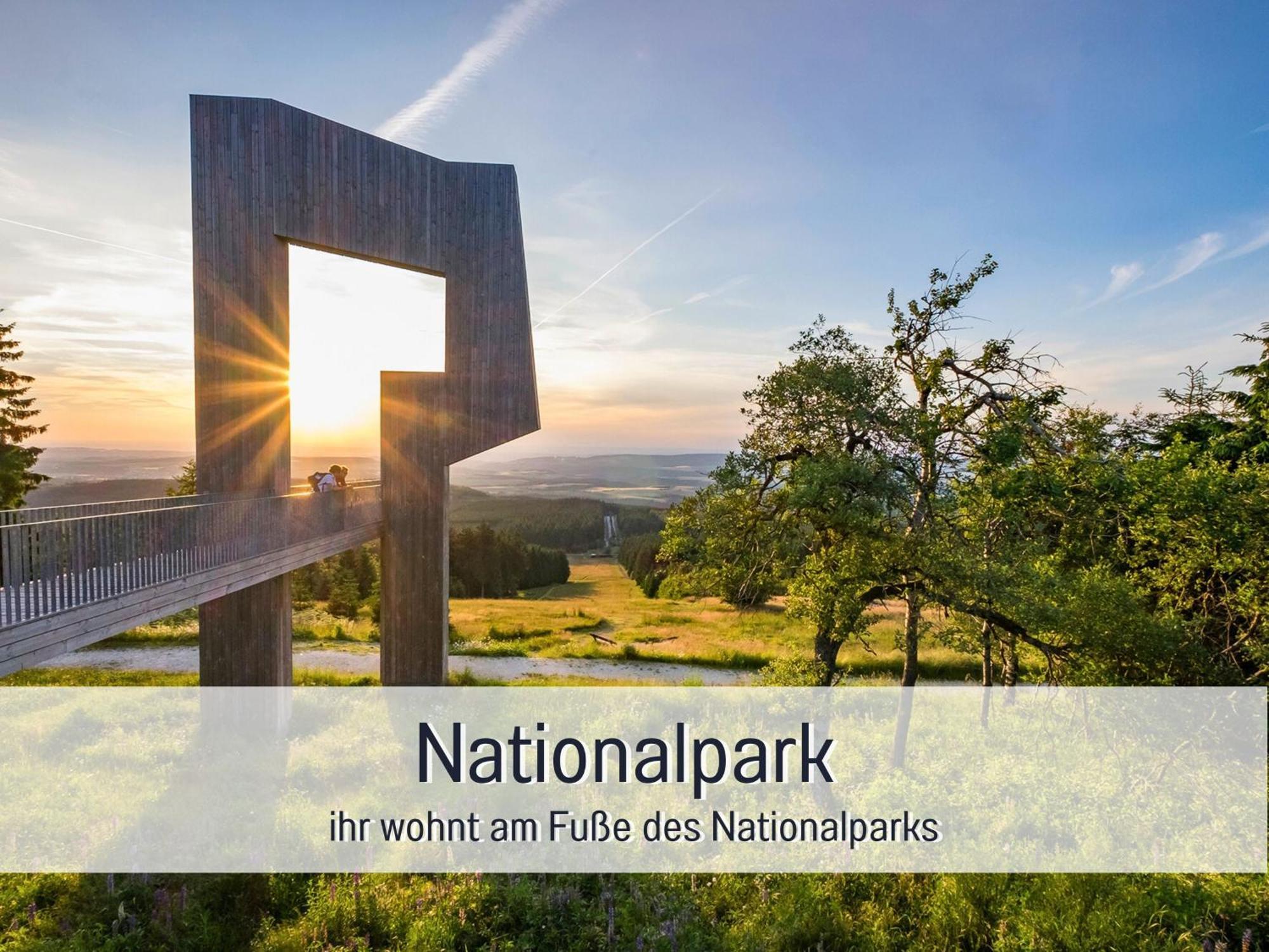Natur-Chalet Zum Nationalpark Marie-Luise Inkl E-Auto Allenbach Exterior foto